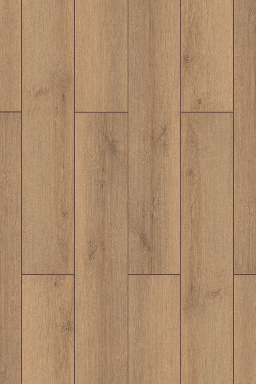 Ламінат Stepclick Canyon Oak 8 мм 32 клас